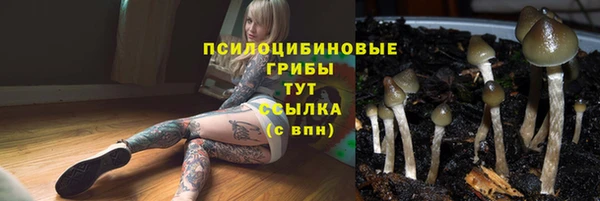 эйфоретик Абаза