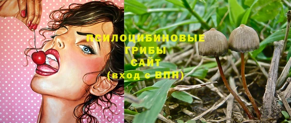 эйфоретик Абаза